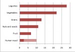 Do You Need to Supplement a Nutrient Rich Plant-Based Diet, With Protein?