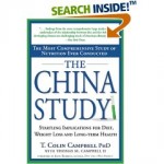 China Study 1