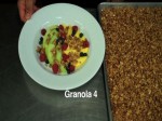 Fresh Fruit and Coconut Granola
