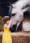 Horse with child, best friends