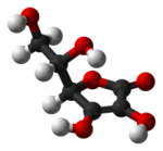 How Does the Antioxidant Power Of Plants Compare to Animals?