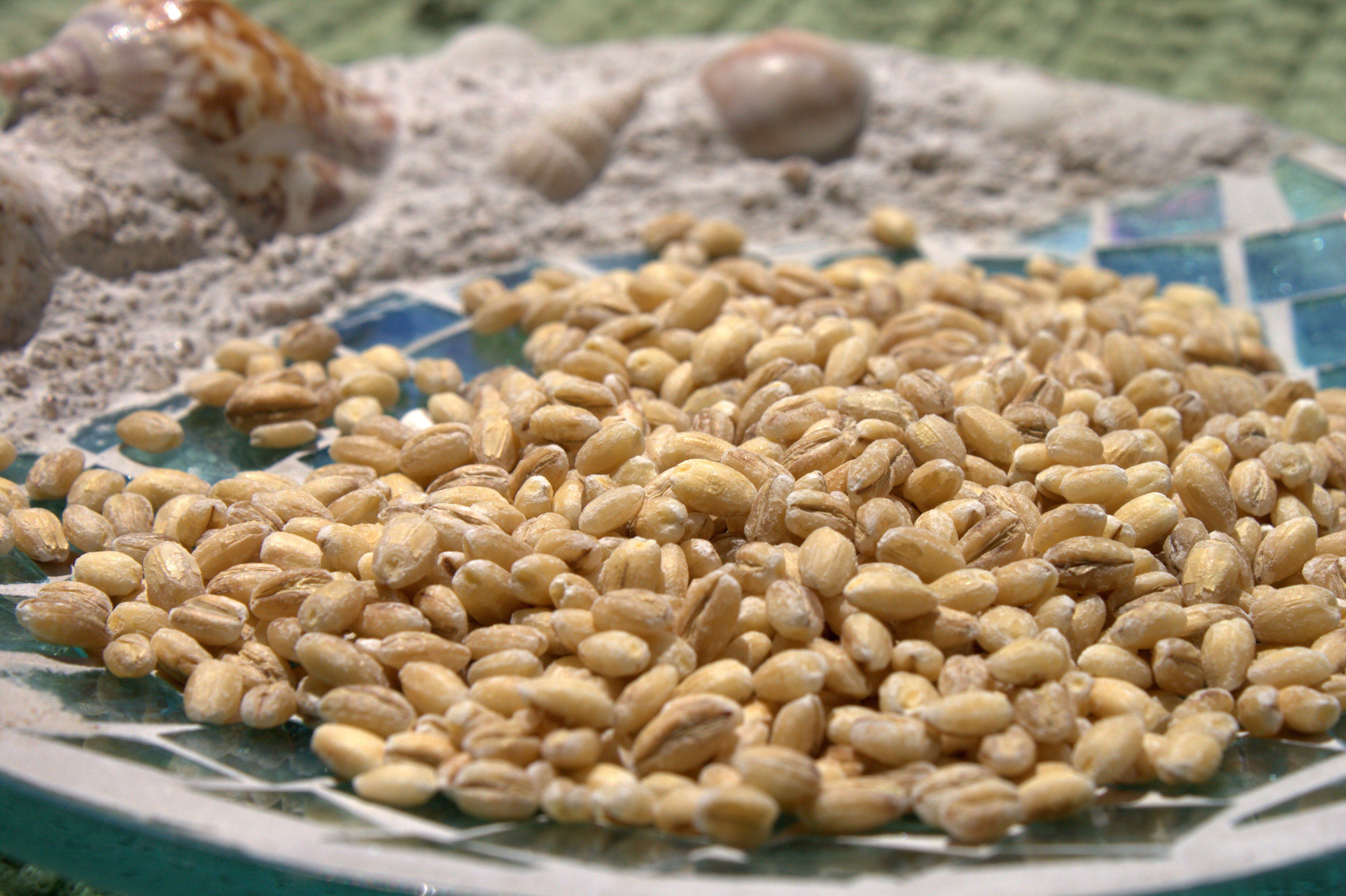 Barley Is Good For Your Baby Nutrient Rich
