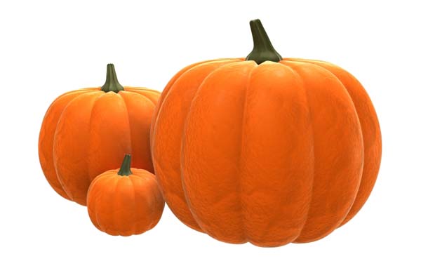 pumpkin