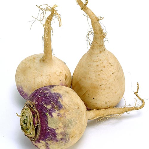 rutabaga