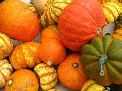 winter-squash