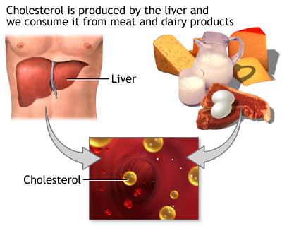 lower-cholesterol2