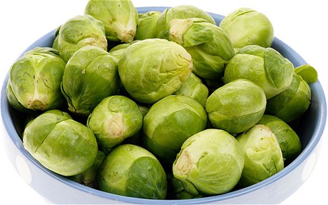 sprouts_2091885c