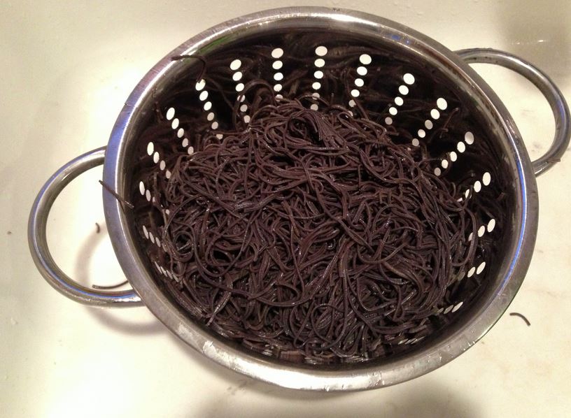 Black-Bean-Spaghetti-strained